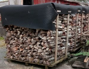 Stack of cut logs drying under tarpaulin