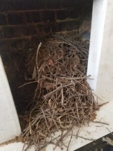 branches in fireplace