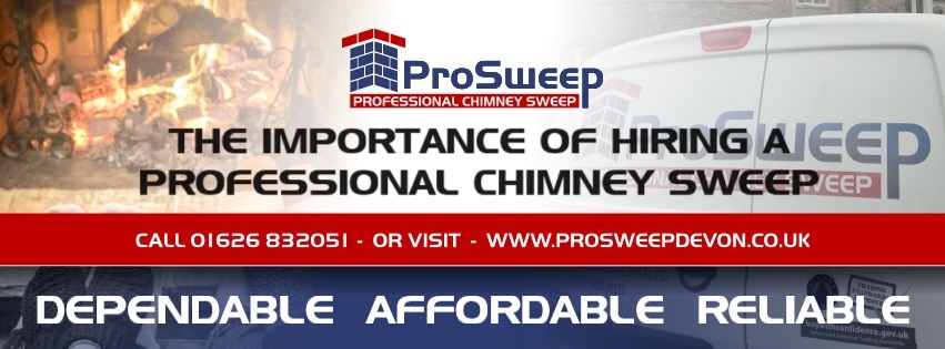 PROFESSIONAL CHIMNEY SWEEP